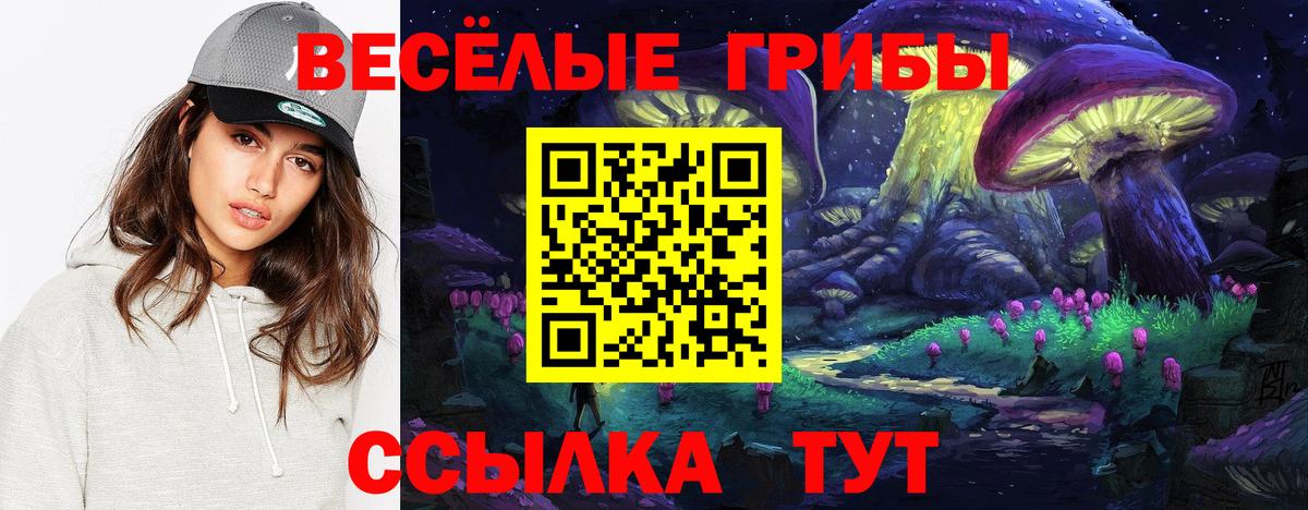 Псилоцибиновые грибы мухоморы  Псилоцибиновые грибы мухоморы  Избербаш  Вход с VPN 